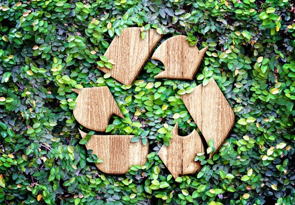 The Dos And Don’ts Of Wood Waste Recycling