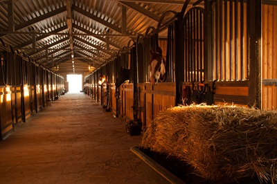 Preparing Your Animal Stables For Summer