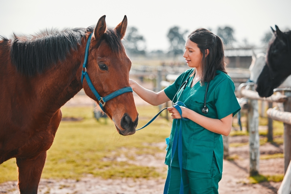 Preventing Bedding-Related Diseases